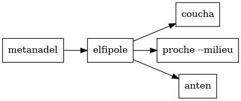 digraph wf_basic {
   rankdir=LR;
   node [shape = box];
   metanadel -> elfipole;
   elfipole -> coucha;
   proche [label = "proche --milieu"];
   elfipole -> proche;
   elfipole -> anten;
}